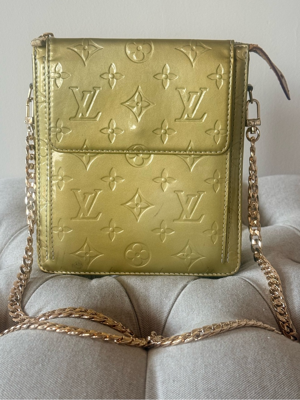 Louis Vuitton Marc Jacobs Era Mott Pouchette - NO STICKINESS